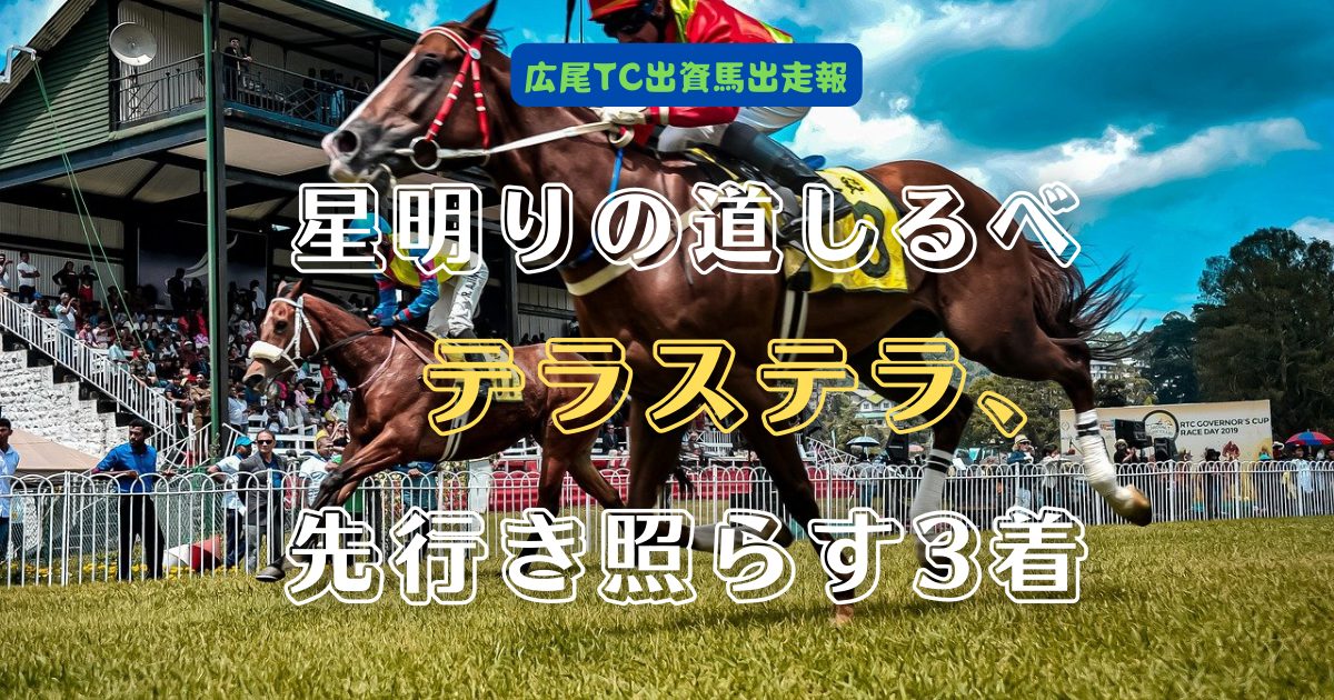 星明りの道しるべ　テラステラ、先行き照らす3着